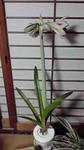 11-05-20_001.jpg