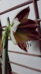 11-05-20_002.jpg