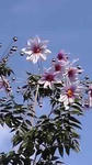 11-11-12_001.jpg