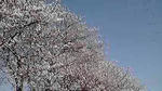 12-04-08_003.jpg