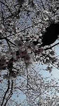 12-04-08_002.jpg