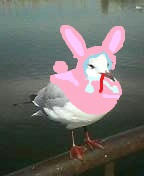 dea7a740.jpeg