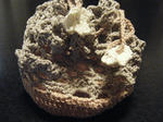 2010_02140034.JPG