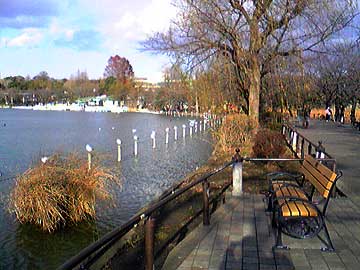 上野公園の不忍池