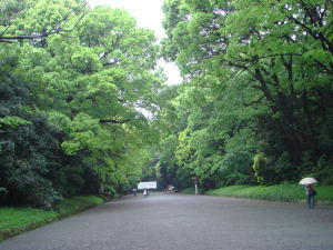 090507_2.jpg