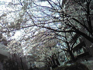 100401_2.jpg