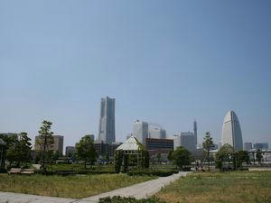 IMG_1998.jpg
