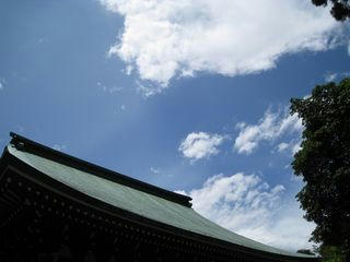 IMG_0453_m.jpg