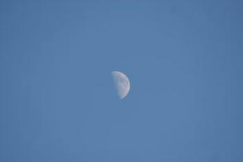 IMG_3583.jpg
