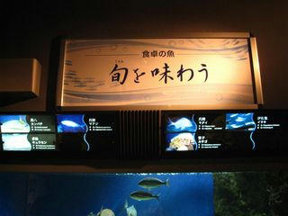 IMG_0954m.jpg