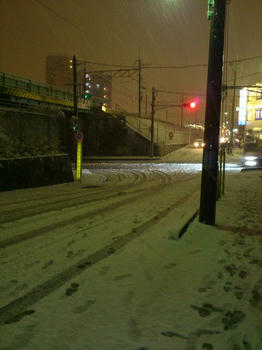 DSC_0116.jpg
