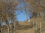 20b1a623.JPG