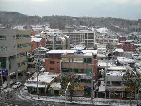 60418796_170.jpg