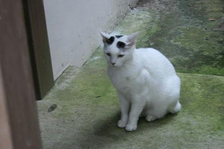993594295_79.jpg