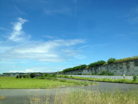 IMG_6190.jpg