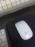 magicmouse