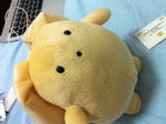 wooser