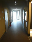P1020399.JPG