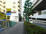 P1020690.JPG