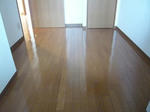 f00861d0.JPG