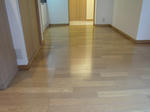 DSCN3321.JPG