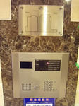 DSCN3408.JPG