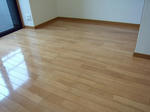 DSCN3442.JPG