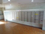 P1160474.JPG