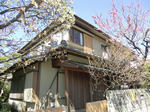 CIMG0159.JPG