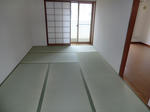 CIMG0995.JPG