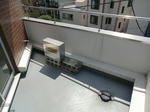 CIMG0148.JPG