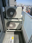CIMG0904.JPG