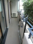 CIMG6130.JPG
