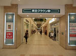 CIMG8149.JPG