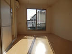 CIMG2555.JPG