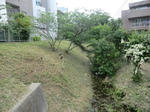 CIMG9030.JPG