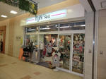 CIMG9239.JPG