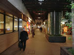 CIMG9249.JPG