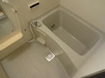 DSC02523.JPG