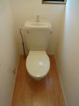 DSC02526.JPG