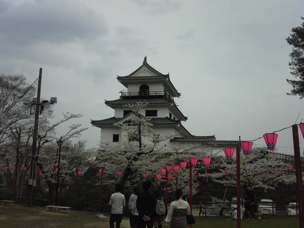 白石城の桜でお花見画像1