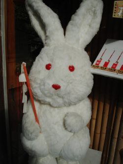 usagi.png
