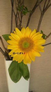 ハートひまわり