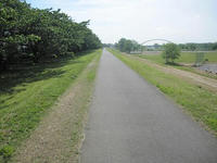 多摩川沿い2.JPG
