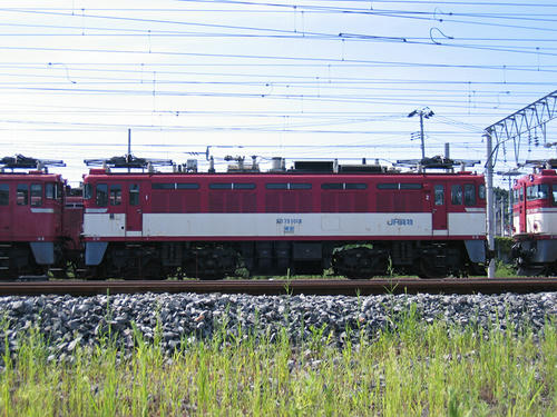 ＥＤ７５　１０１９号機