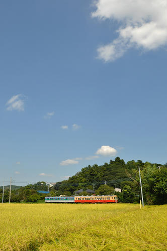 俵田-小櫃間にて・その2