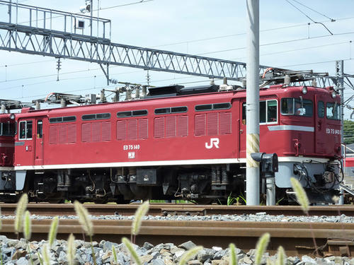 ＥＤ７５　１４０号機