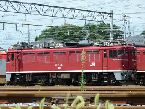 ＥＤ７５　１００４号機