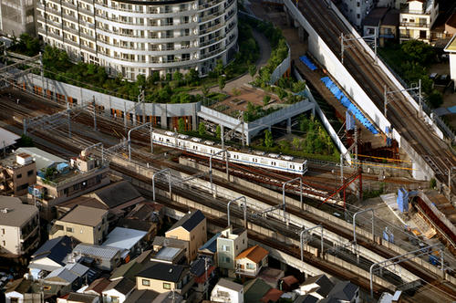 スカイツリーからの情景・その２