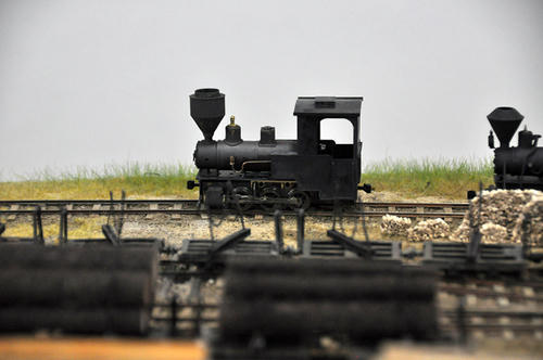 第14回軽便鉄道模型祭・その30